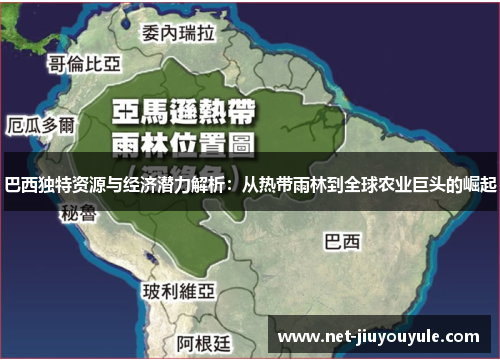 巴西独特资源与经济潜力解析：从热带雨林到全球农业巨头的崛起